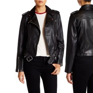 Walter Baker Allison Black Lamb Leather Moto Jacket Sz Small Brand New With Tags